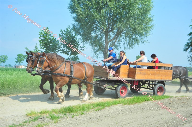 DSC_0816.JPG